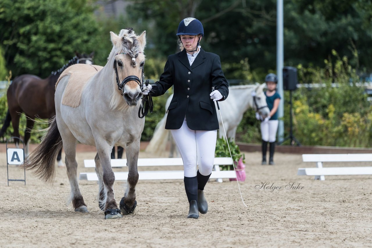 Bild 21 - Pony Akademie Turnier